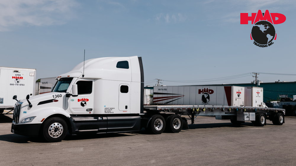 The Human Cost, The Union Fight, and the Drive for Survival